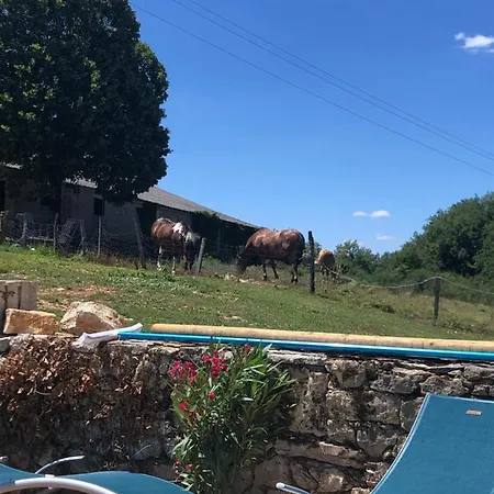 Nocleg ze śniadaniem La Ferme De La Truffe D Hotes